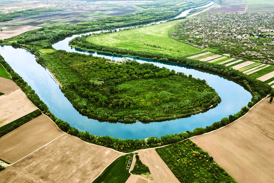 Reforestation And Water Management: Restoring Watersheds