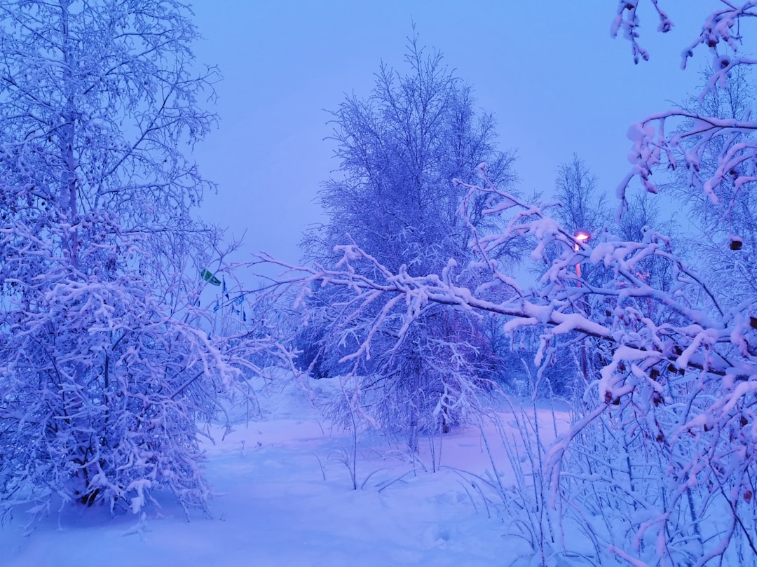 Photo Arctic Ice