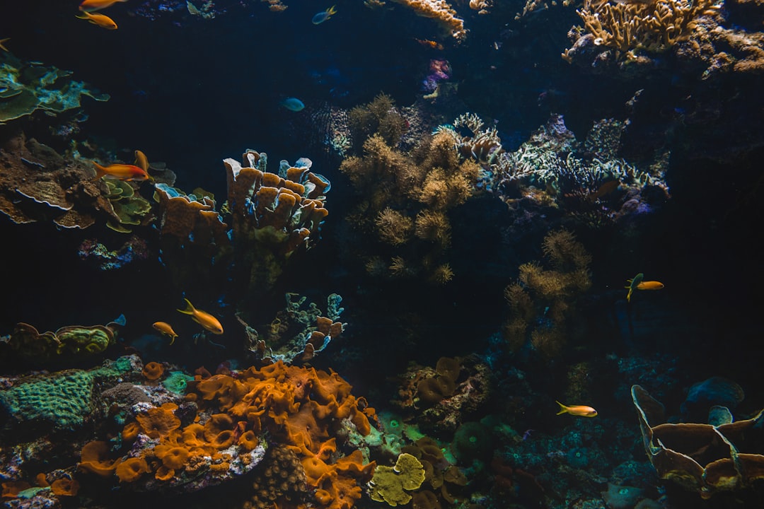 Photo Diverse ecosystem