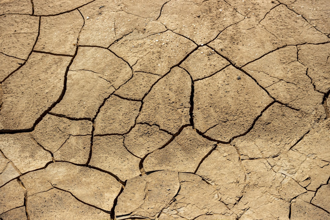 Photo Cracked Earth