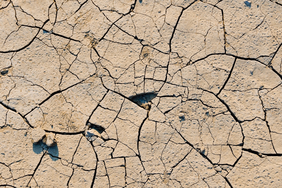 Photo Climate map