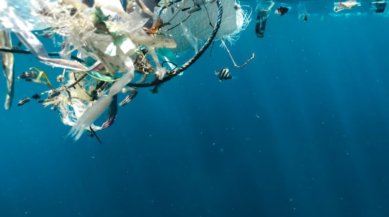 Photo Plastic pollution