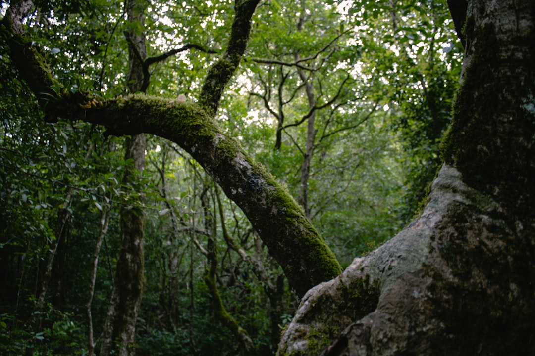 Photo Interconnected ecosystems