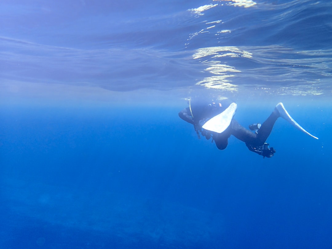Photo Underwater drone