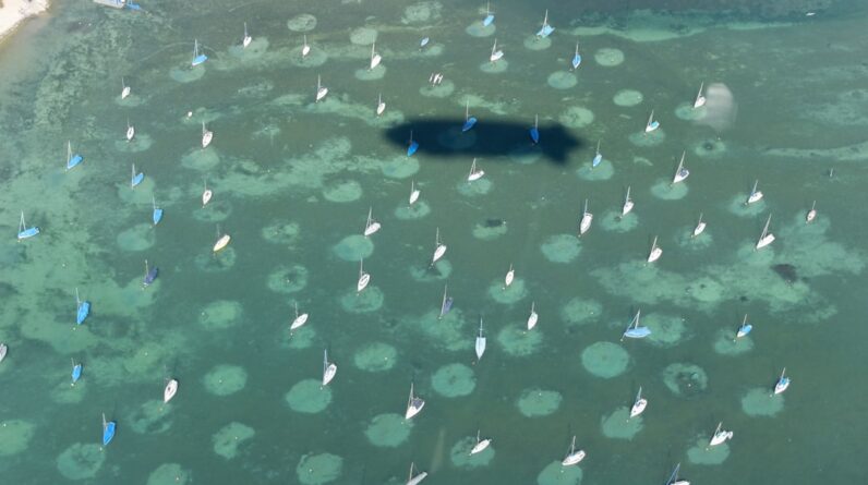 Photo Underwater Drones