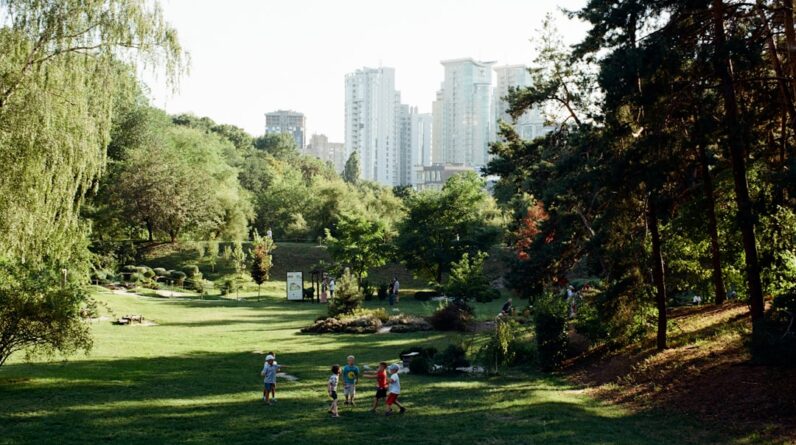 Photo Urban Forest