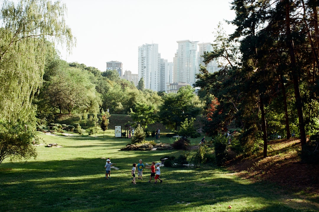 Photo Urban Forest