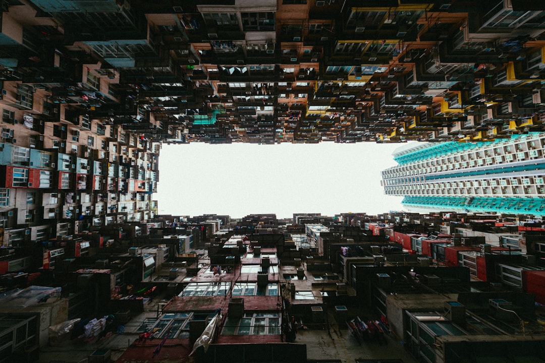 Photo Urban jungle
