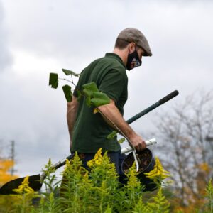 Photo Tree planting