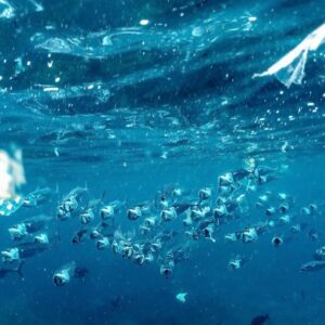 Photo Ocean pollution