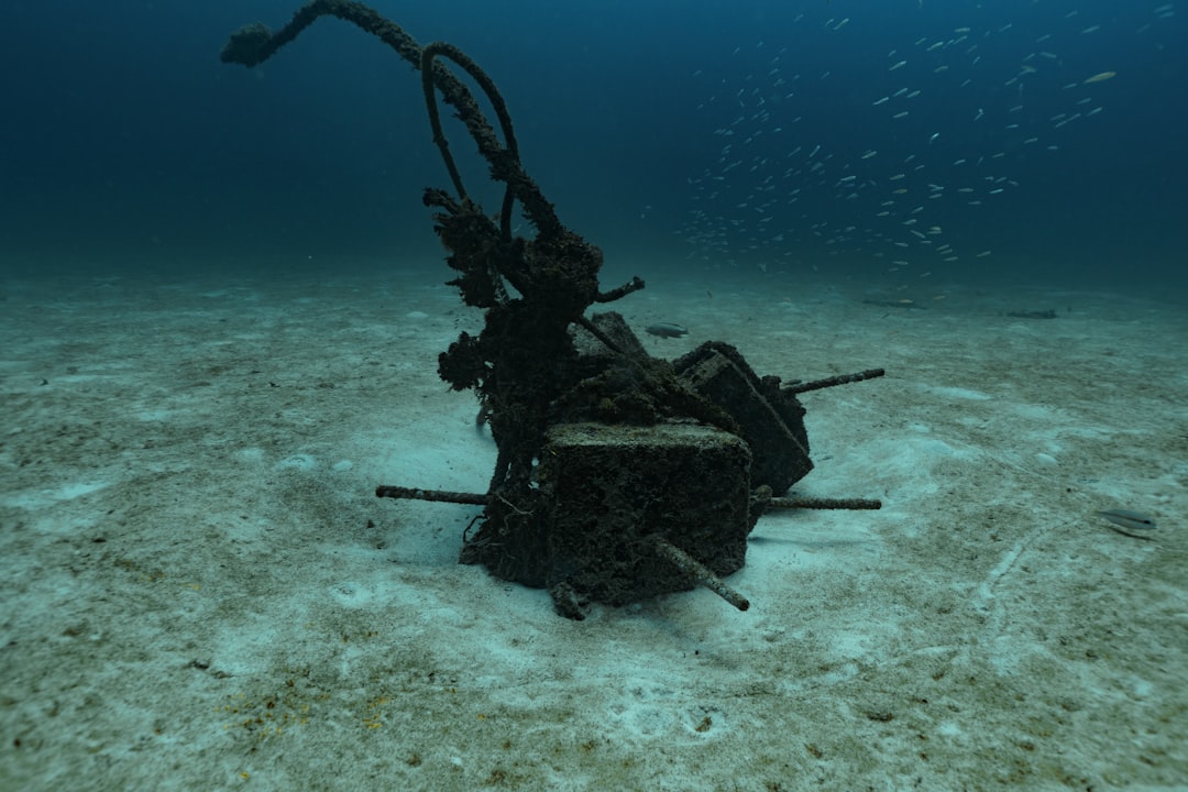 Photo Underwater drones