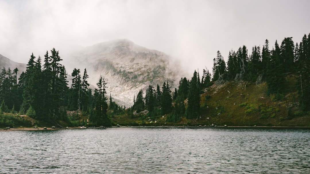 Photo Forest landscape