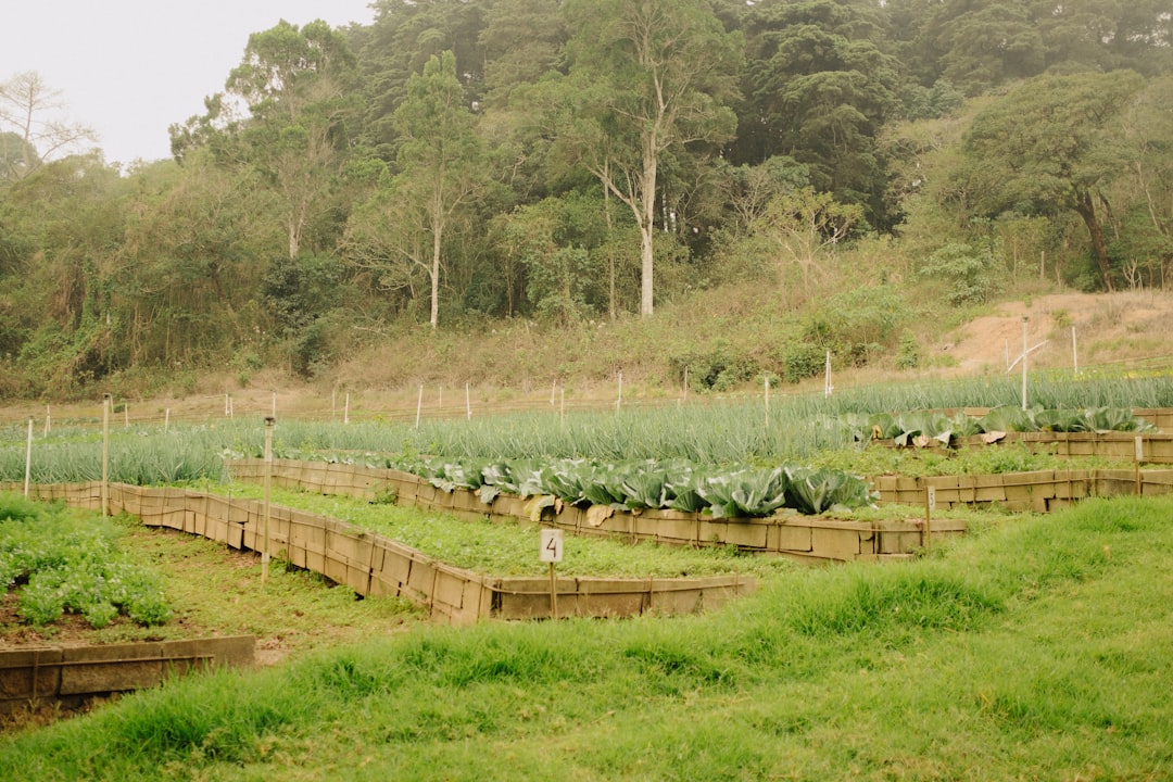 Photo Eco-friendly farm