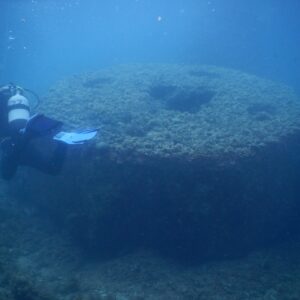 Photo Underwater research