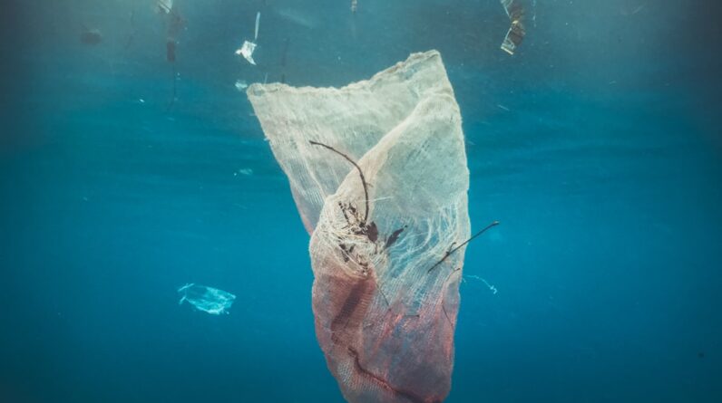 Photo Underwater pollution