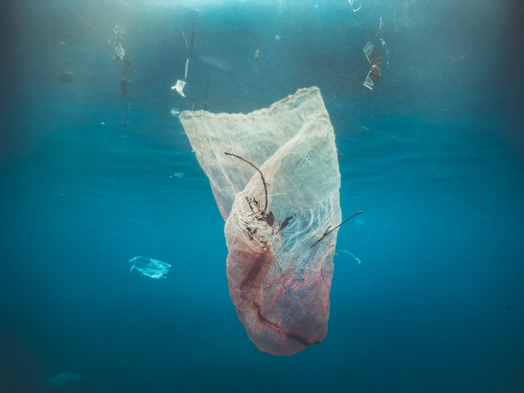 Photo Underwater pollution