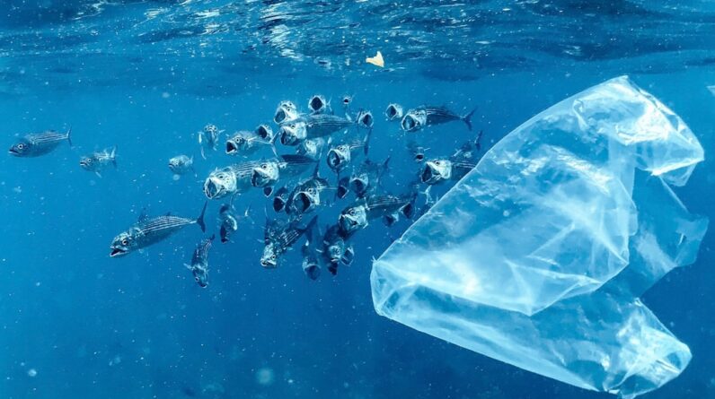 Photo Plastic pollution