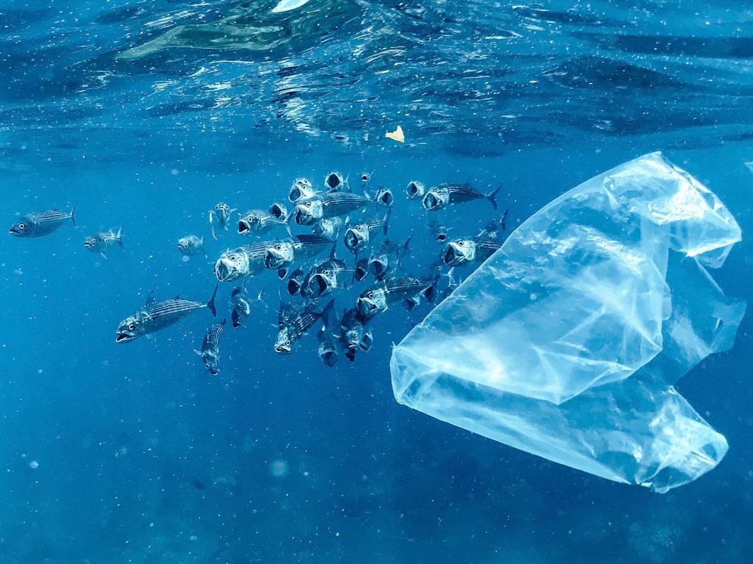 Photo Plastic pollution