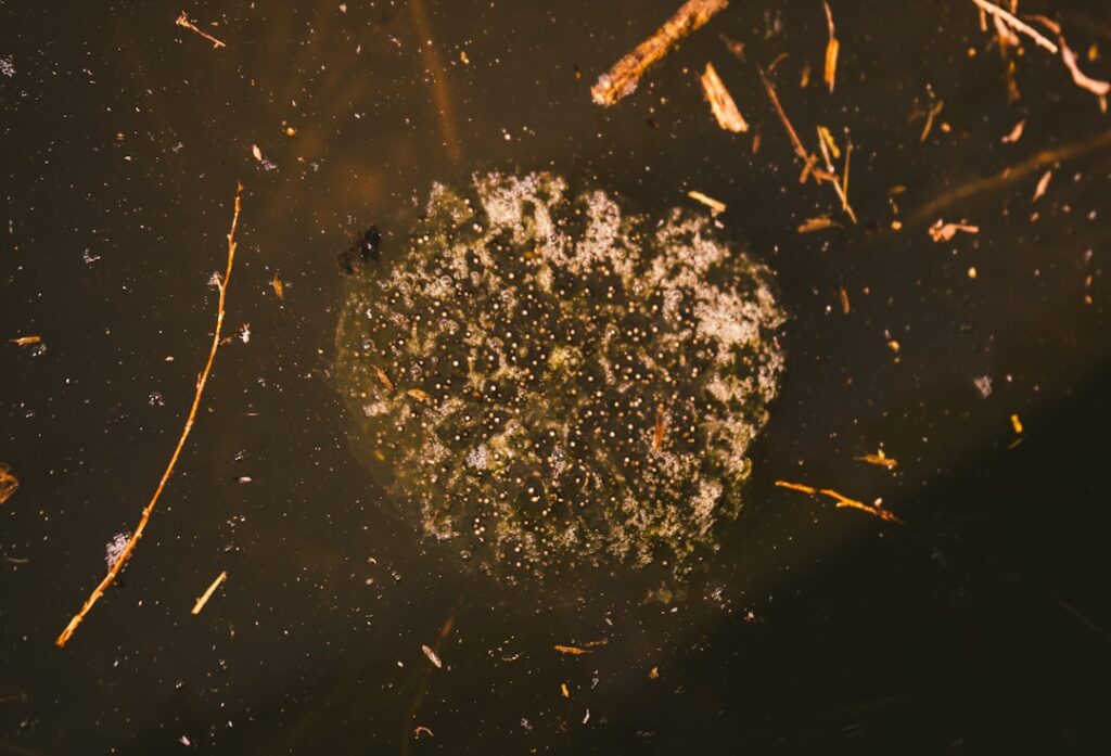 Photo Microbead pollution