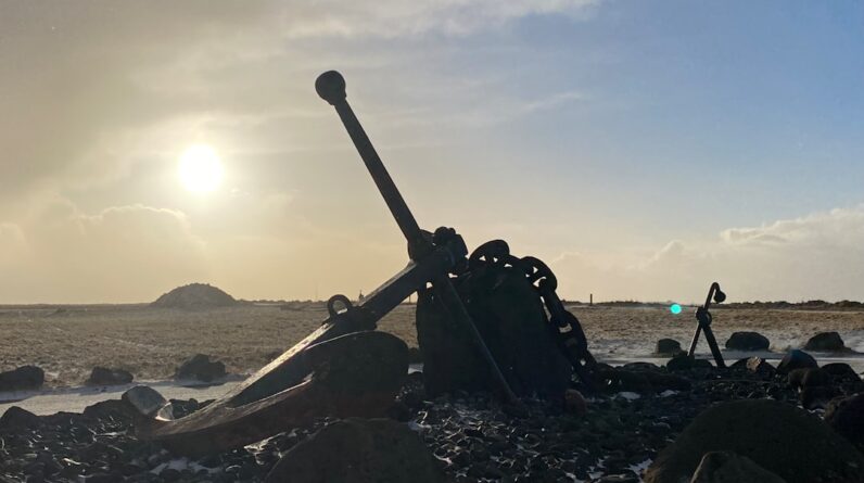 Photo Marine Dead Zone