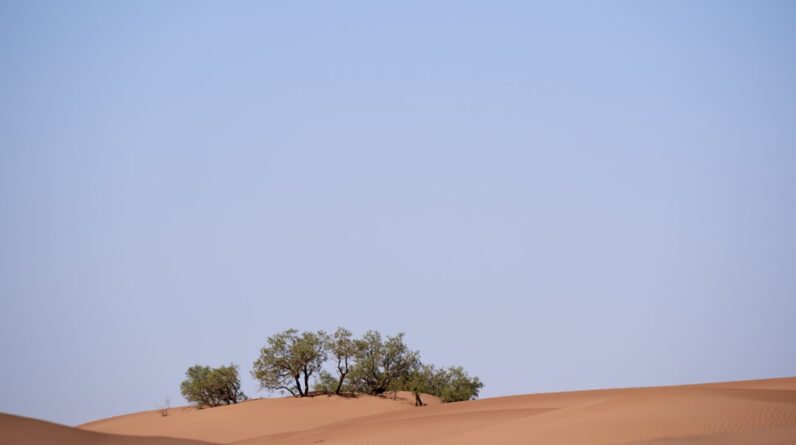 Photo Greening Sahara