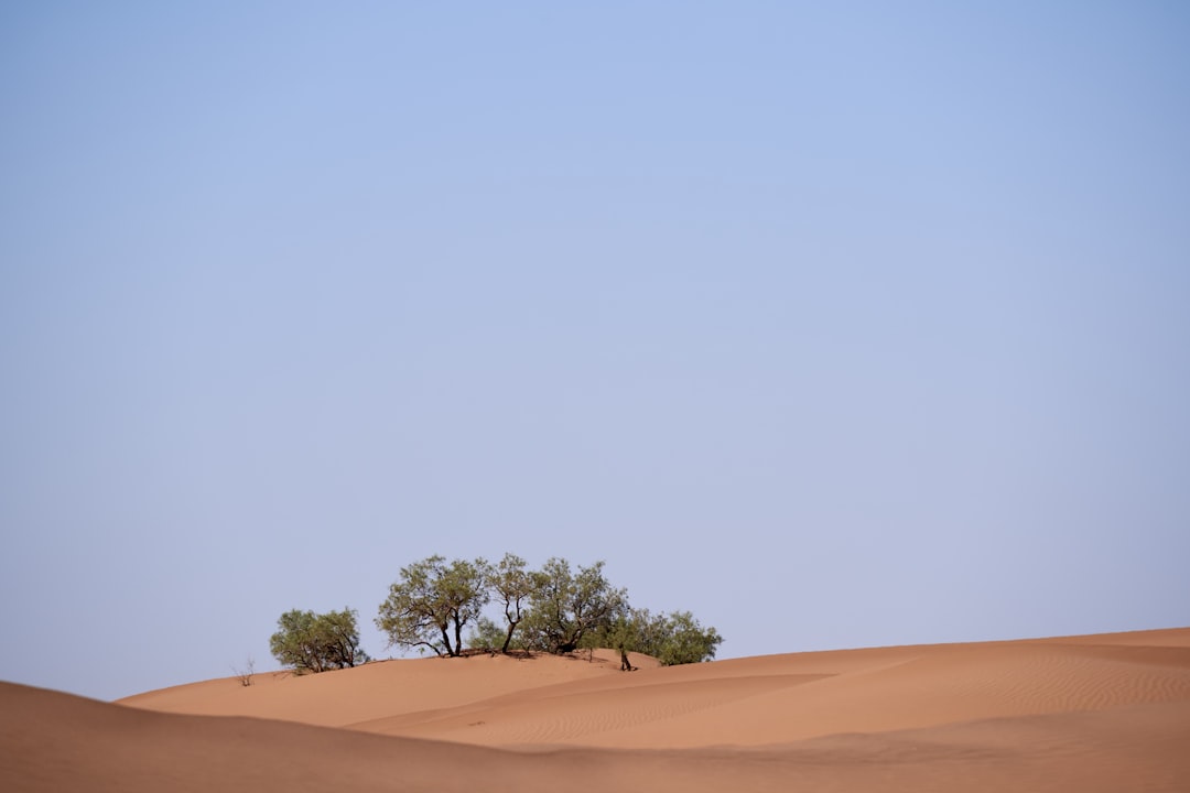 Photo Greening Sahara