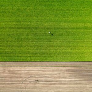 Photo Drone planting