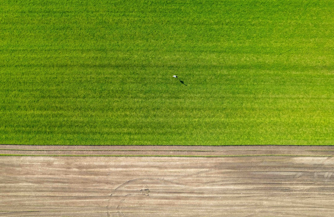 Photo Drone planting