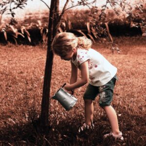 Photo Planting trees