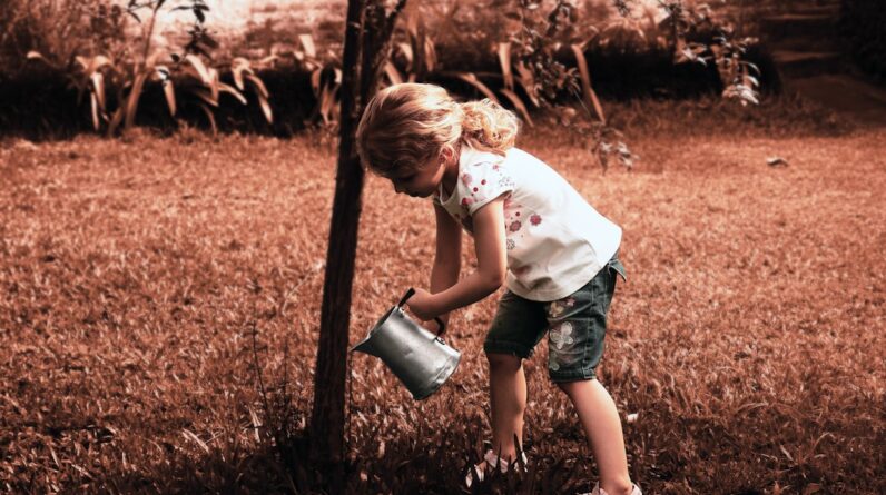 Photo Planting trees