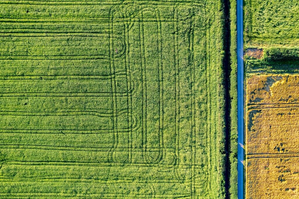 Photo Drone planting