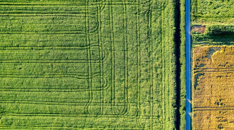 Photo Drone planting