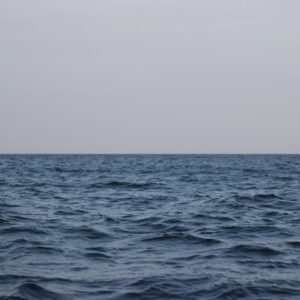 Photo Barren seabed