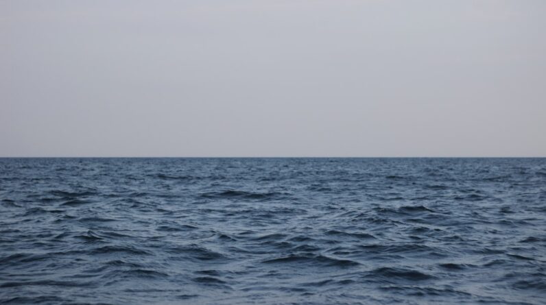 Photo Barren seabed