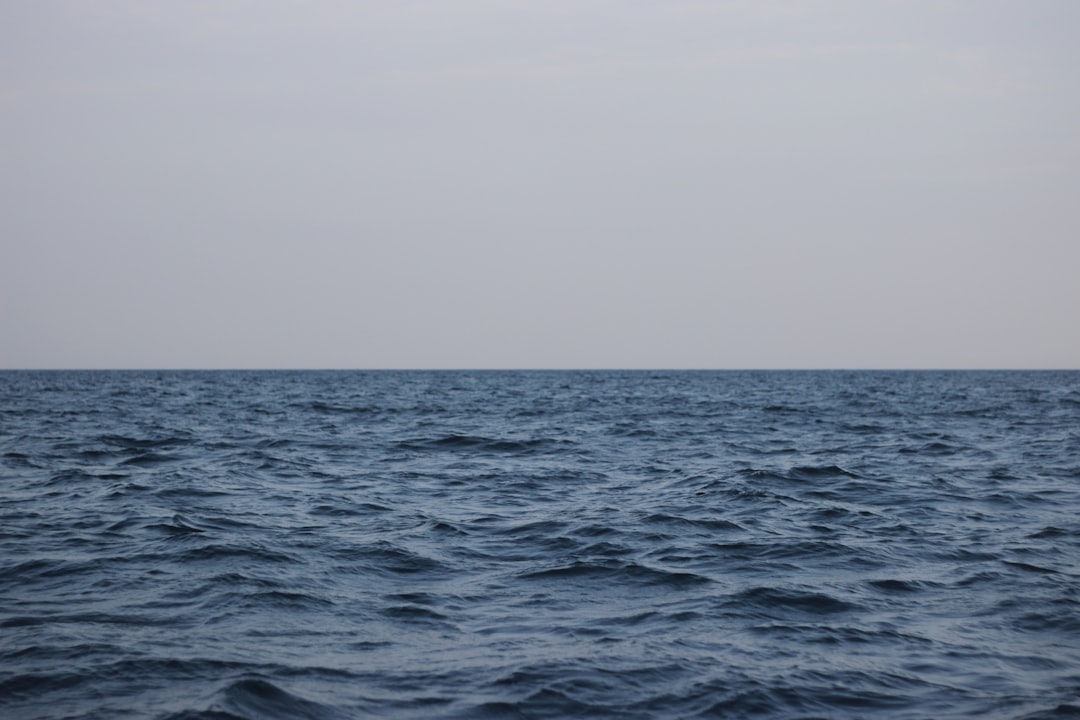 Photo Barren seabed