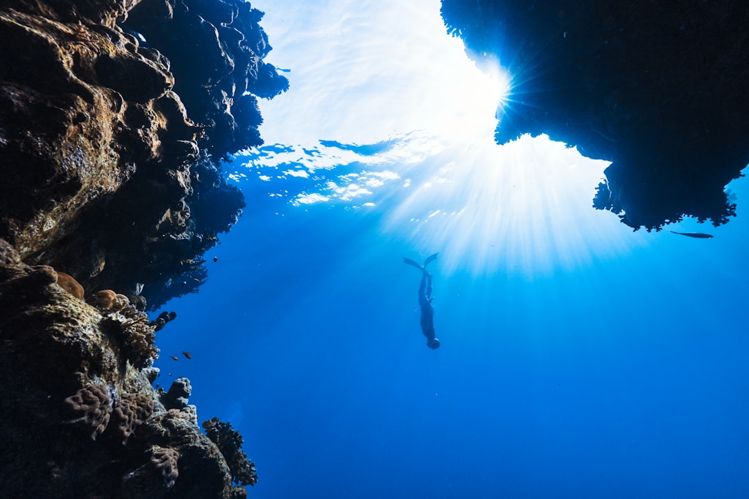 Photo Underwater Ecosystem