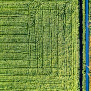 Photo Drone planting