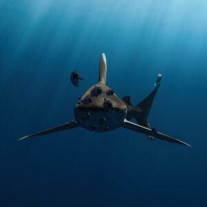 Photo Underwater drones