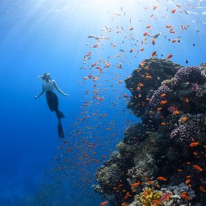 Photo Coral reef