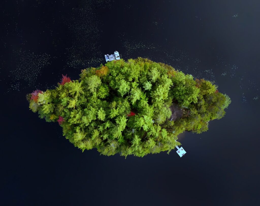 Photo Smart reforestation