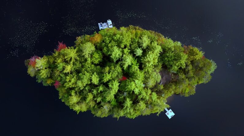 Photo Smart reforestation
