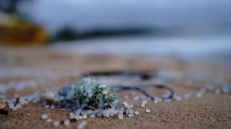Photo Microplastic pollution