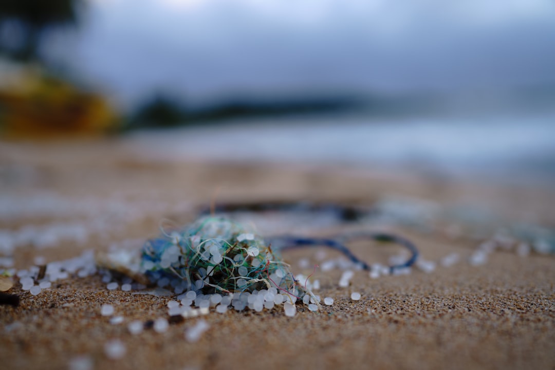 Photo Microplastic pollution