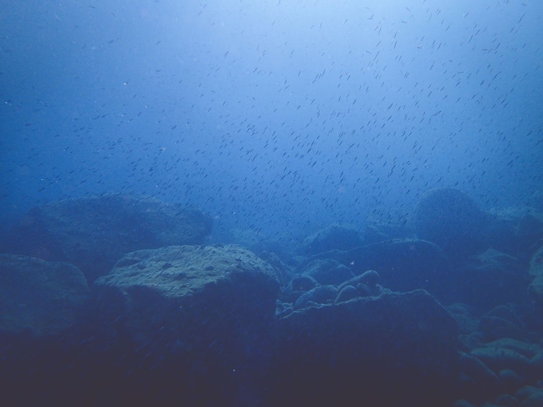 Photo Oceanic Dead Zones