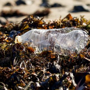 Photo Plastic pollution