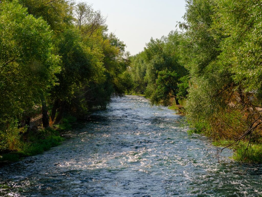 Photo Healthy rivers