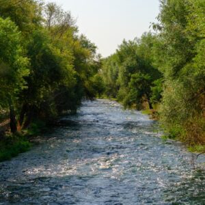 Photo Healthy rivers