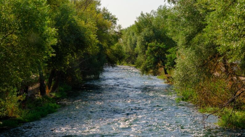Photo Healthy rivers