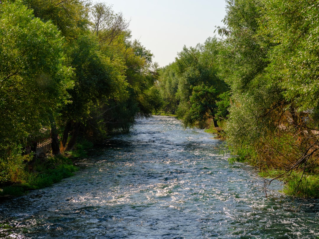 Photo Healthy rivers