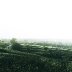 Photo Algae Farm